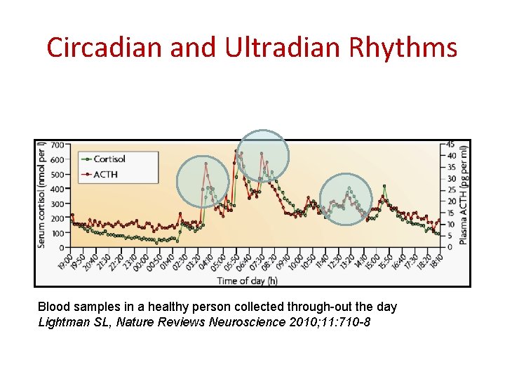 Circadian and Ultradian Rhythms Blood samples in a healthy person collected through-out the day