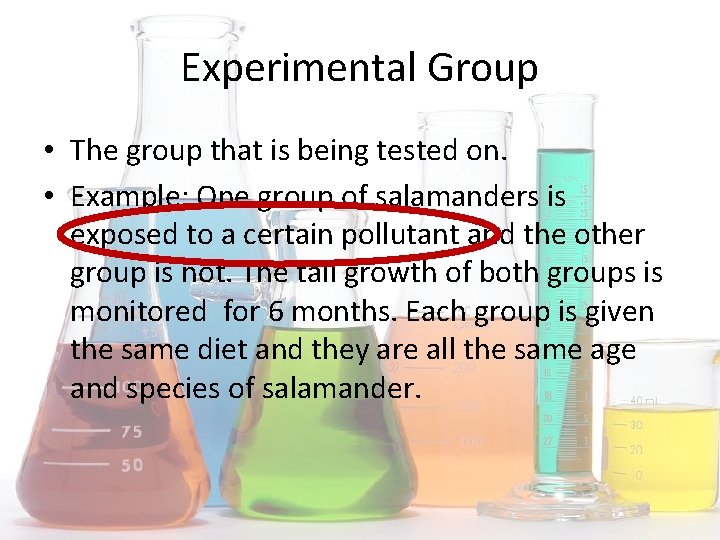 Experimental Group • The group that is being tested on. • Example: One group