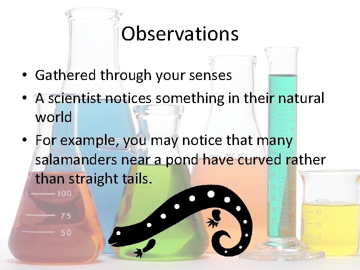 Observations • Gathered through your senses • A scientist notices something in their natural