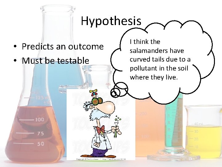 Hypothesis • Predicts an outcome • Must be testable I think the salamanders have