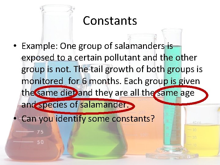 Constants • Example: One group of salamanders is exposed to a certain pollutant and
