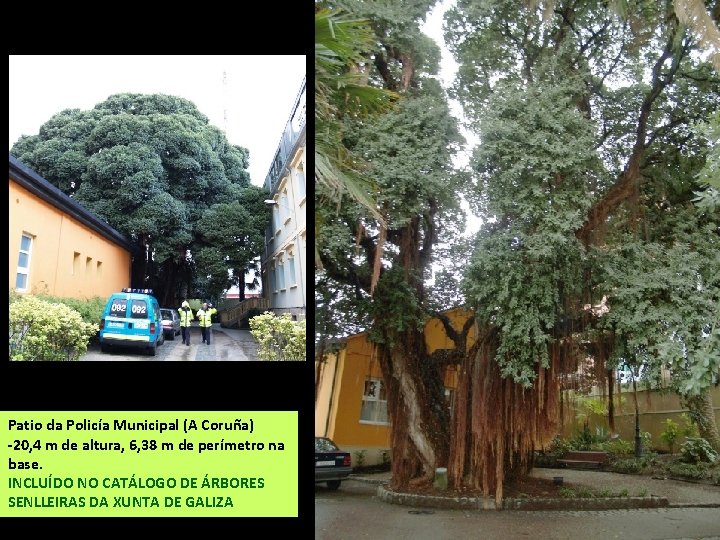 Patio da Policía Municipal (A Coruña) -20, 4 m de altura, 6, 38 m