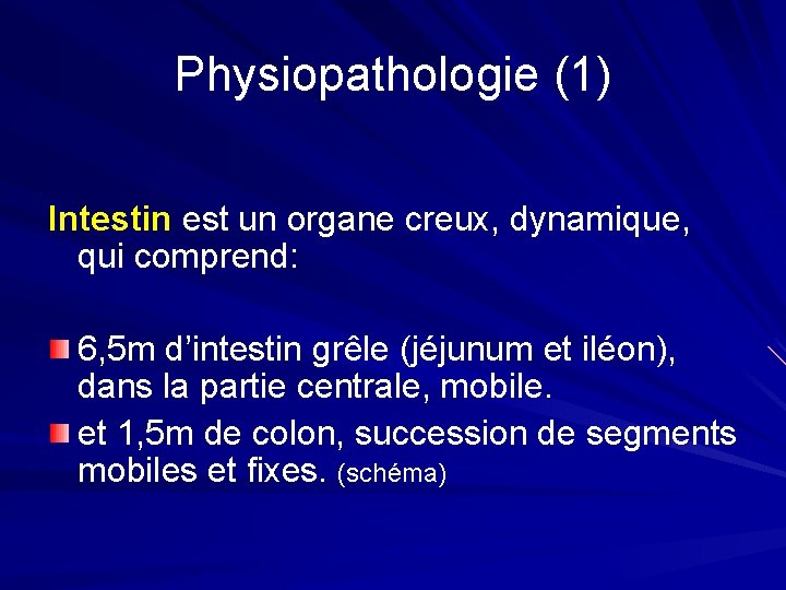 Physiopathologie (1) Intestin est un organe creux, dynamique, qui comprend: 6, 5 m d’intestin