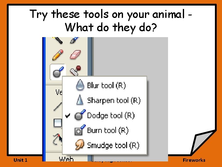 Try these tools on your animal What do they do? Unit 1 Selby High