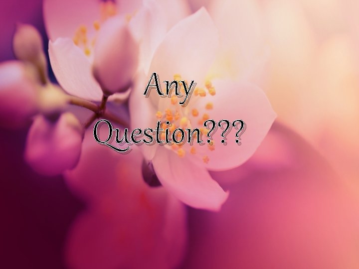 Any Question? ? ? 