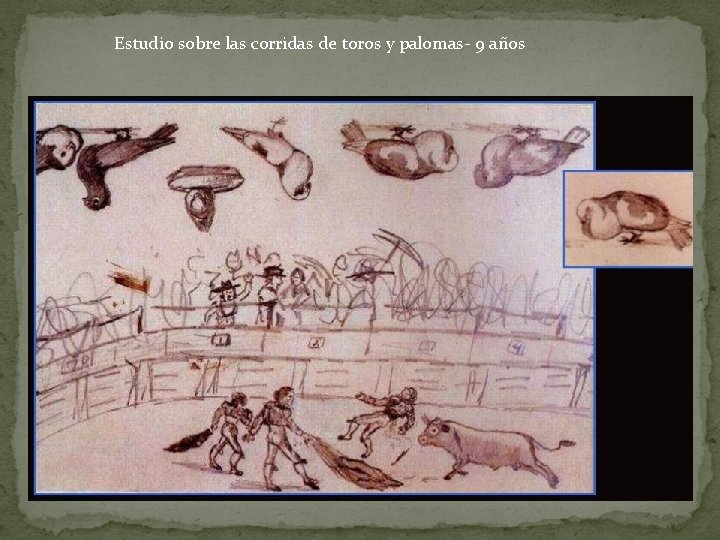 Estudio sobre las corridas de toros y palomas- 9 años 