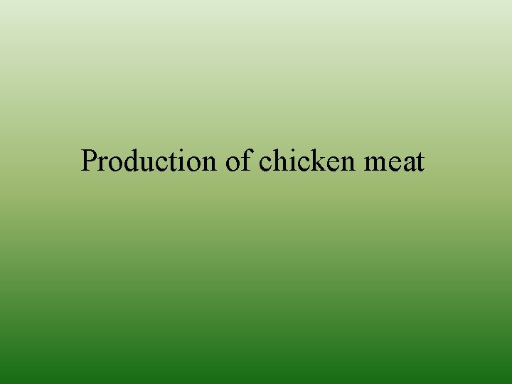 Production of chicken meat 