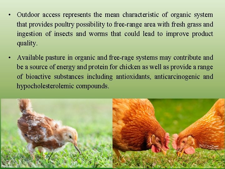  • Outdoor access represents the mean characteristic of organic system that provides poultry