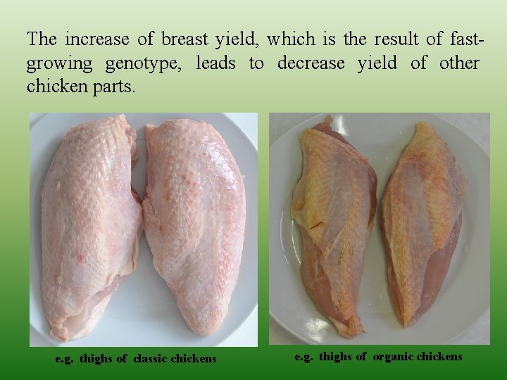 The increase of breast yield, which is the result of fastgrowing genotype, leads to The increase of breast yield, which is the result of fastgrowing genotype, leads to