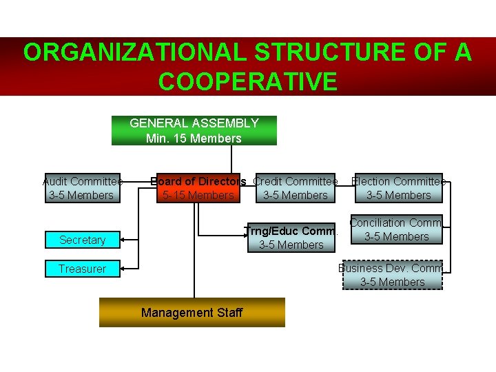 ORGANIZATIONAL STRUCTURE OF A COOPERATIVE GENERAL ASSEMBLY Min. 15 Members Audit Committee 3 -5