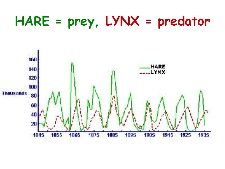 HARE = prey, LYNX = predator 