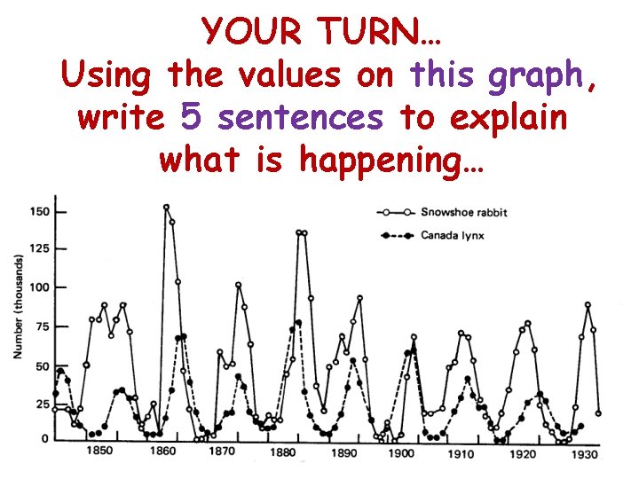 YOUR TURN… Using the values on this graph, write 5 sentences to explain what
