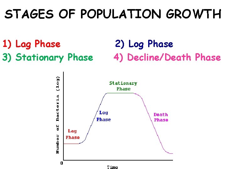 STAGES OF POPULATION GROWTH 1) Lag Phase 3) Stationary Phase 2) Log Phase 4)