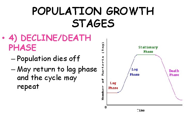 POPULATION GROWTH STAGES • 4) DECLINE/DEATH PHASE – Population dies off – May return