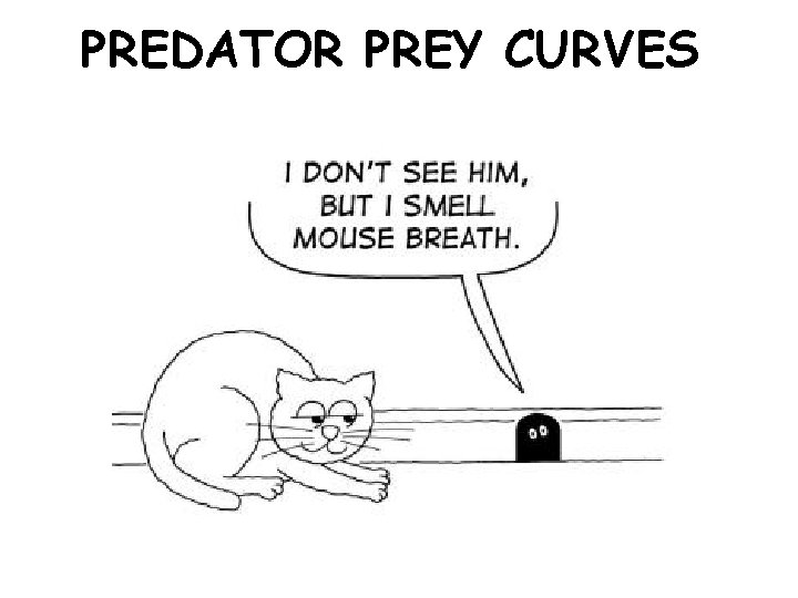 PREDATOR PREY CURVES 