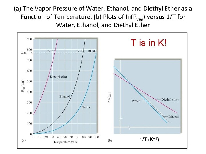 (a) The Vapor Pressure of Water, Ethanol, and Diethyl Ether as a Function of
