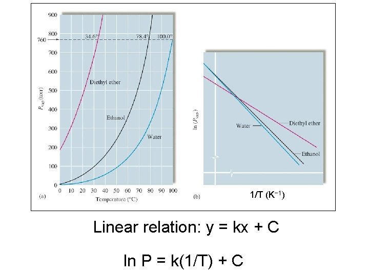 1/T (K− 1) Linear relation: y = kx + C ln P = k(1/T)