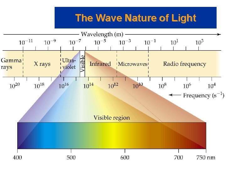 The Wave Nature of Light 