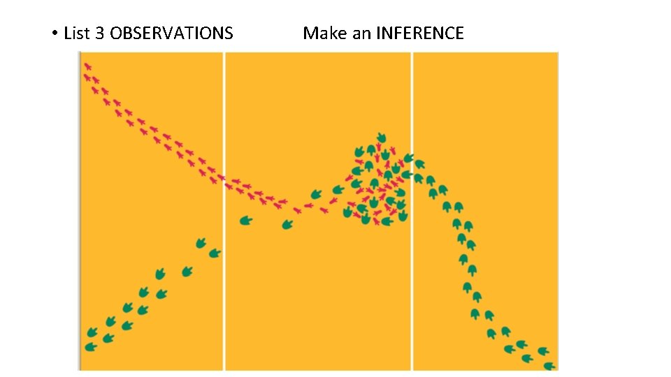  • List 3 OBSERVATIONS Make an INFERENCE 