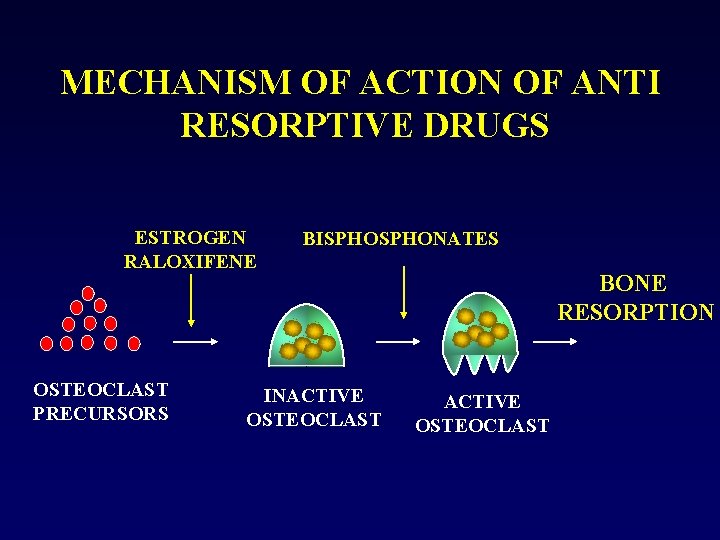 MECHANISM OF ACTION OF ANTI RESORPTIVE DRUGS ESTROGEN RALOXIFENE OSTEOCLAST PRECURSORS BISPHONATES INACTIVE OSTEOCLAST