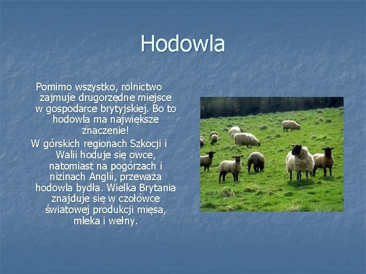 Hodowla Pomimo wszystko, rolnictwo zajmuje drugorzędne miejsce w gospodarce brytyjskiej. Bo to hodowla ma