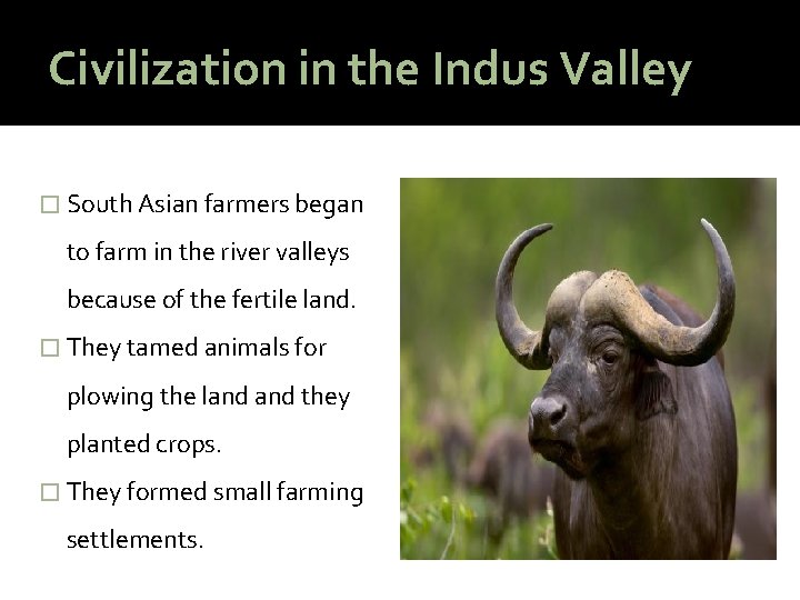 Civilization in the Indus Valley � South Asian farmers began to farm in the