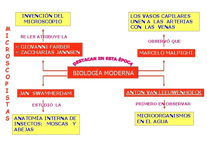 INVENCIÓN DEL MICROSCOPIO M I C R O S C O P I S