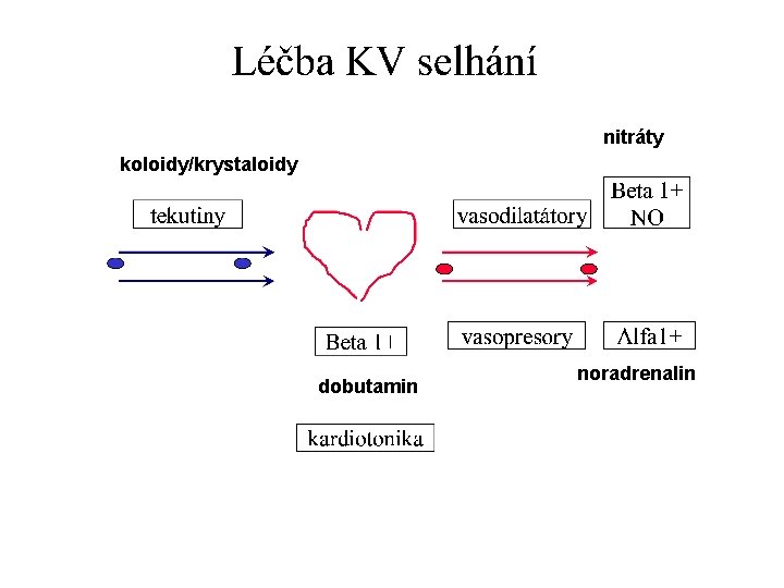 nitráty koloidy/krystaloidy dobutamin noradrenalin 