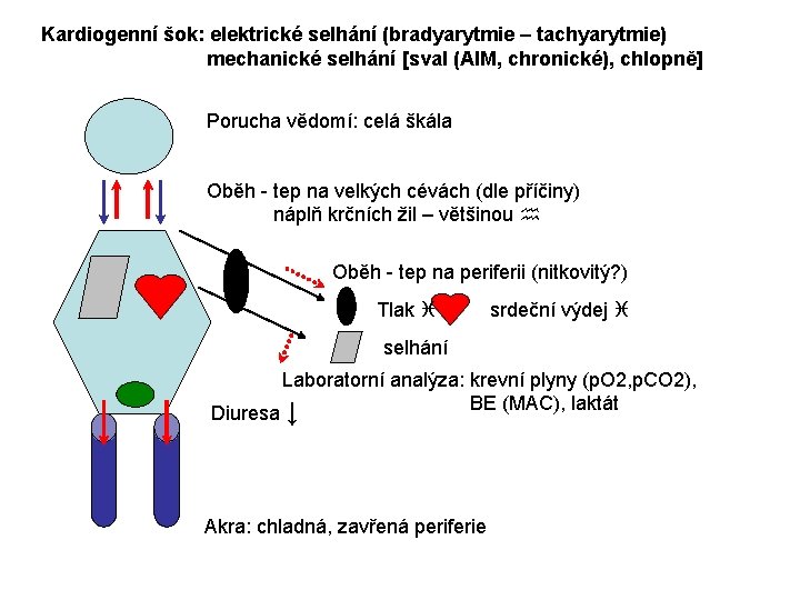 Kardiogenní šok: elektrické selhání (bradyarytmie – tachyarytmie) mechanické selhání [sval (AIM, chronické), chlopně] Porucha