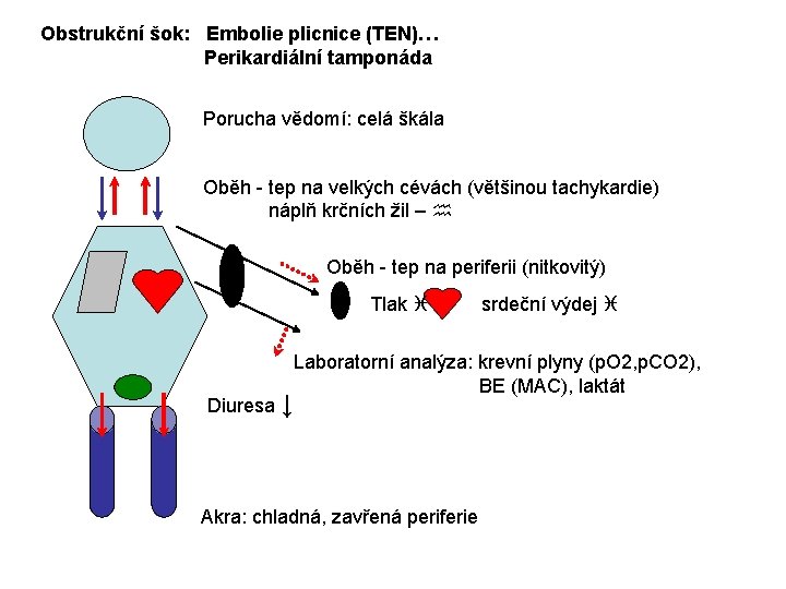 Obstrukční šok: Embolie plicnice (TEN)… Perikardiální tamponáda Porucha vědomí: celá škála Oběh - tep