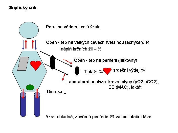 Septický šok Porucha vědomí: celá škála Oběh - tep na velkých cévách (většinou tachykardie)