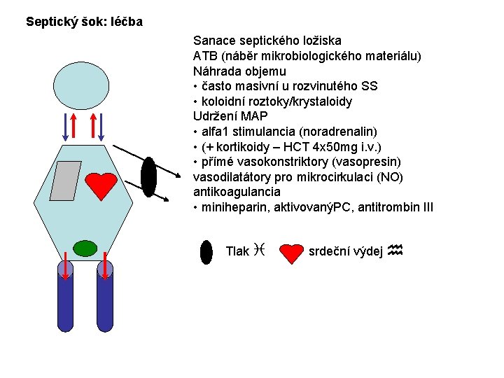 Septický šok: léčba Sanace septického ložiska ATB (náběr mikrobiologického materiálu) Náhrada objemu • často