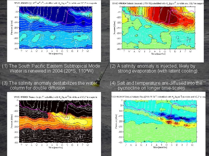 (1) The South Pacific Eastern Subtropical Mode Water is renewed in 2004 (20 S,