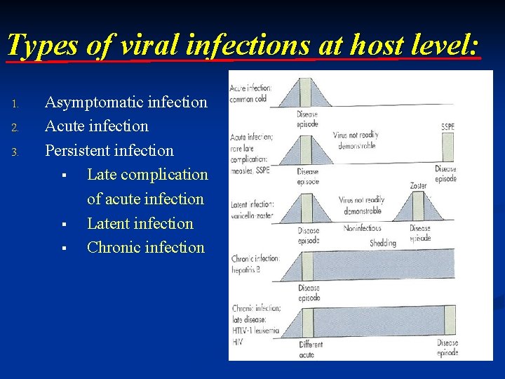 Types of viral infections at host level: 1. 2. 3. Asymptomatic infection Acute infection Types of viral infections at host level: 1. 2. 3. Asymptomatic infection Acute infection