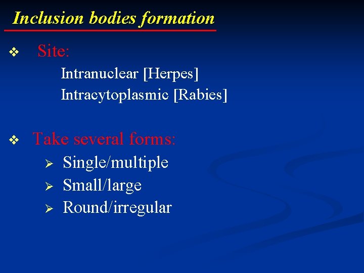 Inclusion bodies formation v Site: Intranuclear [Herpes] Intracytoplasmic [Rabies] v Take several forms: Ø