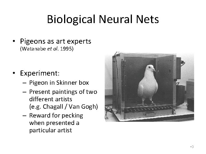 Biological Neural Nets • Pigeons as art experts (Watanabe et al. 1995) • Experiment: