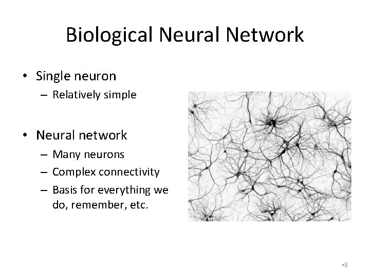 Biological Neural Network • Single neuron – Relatively simple • Neural network – Many