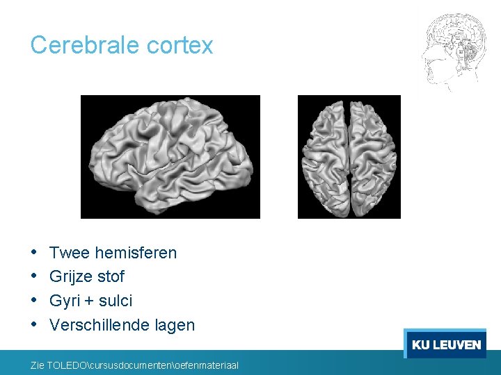 Cerebrale cortex • • Twee hemisferen Grijze stof Gyri + sulci Verschillende lagen Zie