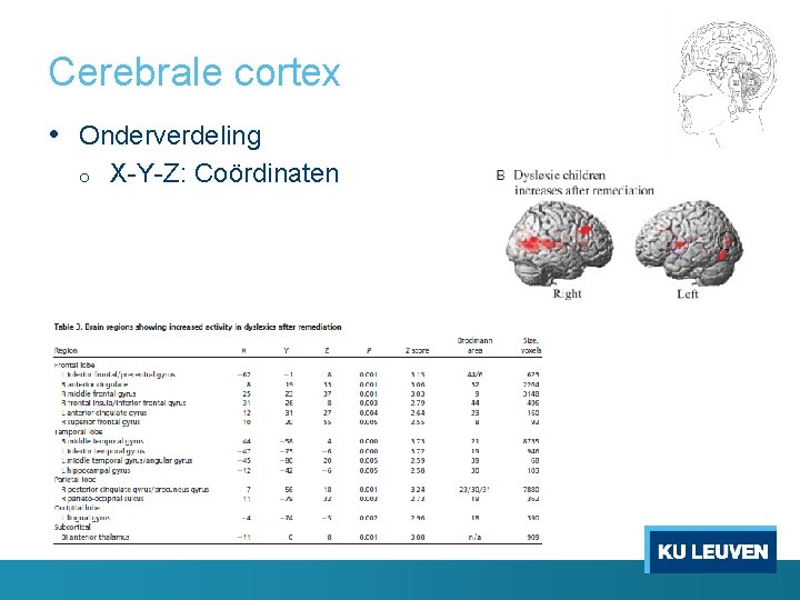 Cerebrale cortex • Onderverdeling o X-Y-Z: Coördinaten 