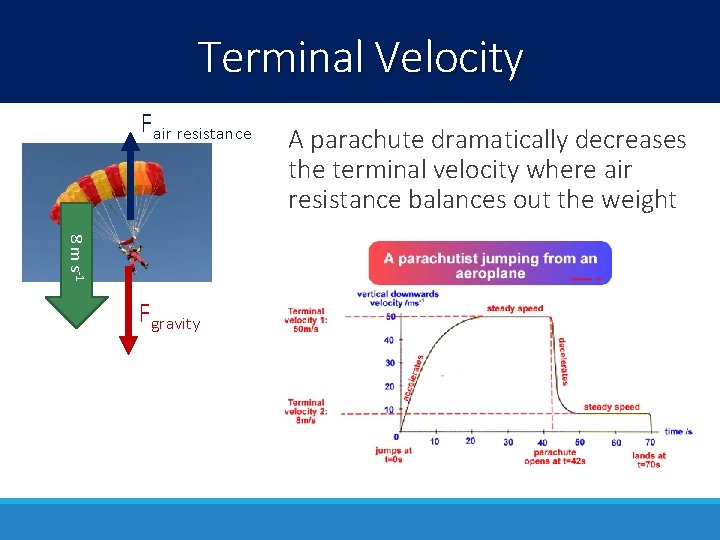 Terminal Velocity Fair resistance 8 m s-1 Fgravity A parachute dramatically decreases the terminal Terminal Velocity Fair resistance 8 m s-1 Fgravity A parachute dramatically decreases the terminal
