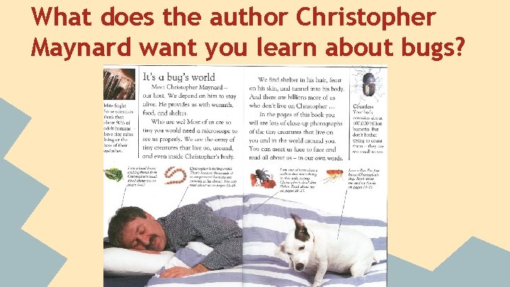 What does the author Christopher Maynard want you learn about bugs? 