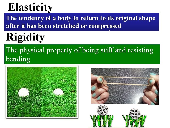 Elasticity The tendency of a body to return to its original shape after it