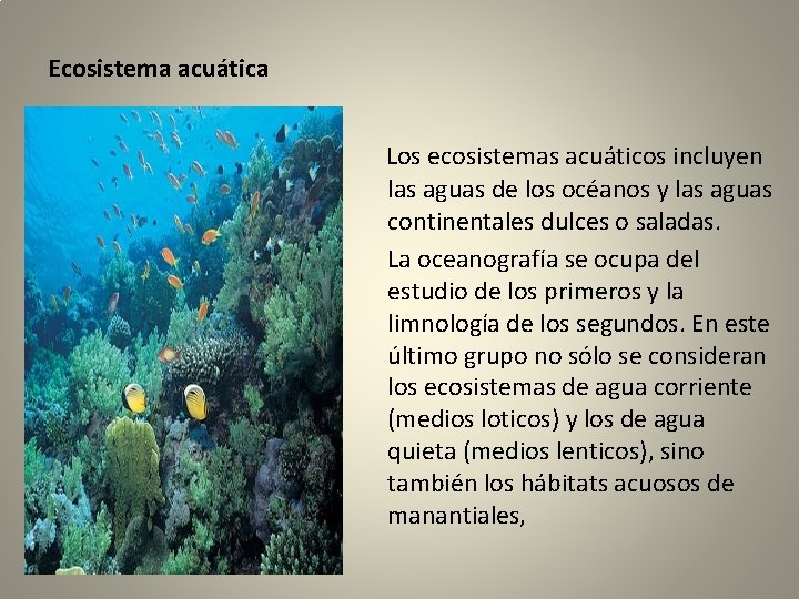 Ecosistema acuática Los ecosistemas acuáticos incluyen las aguas de los océanos y las aguas