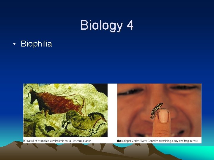 Biology 4 • Biophilia 