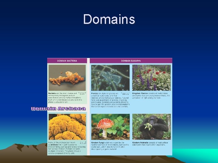 Domains 