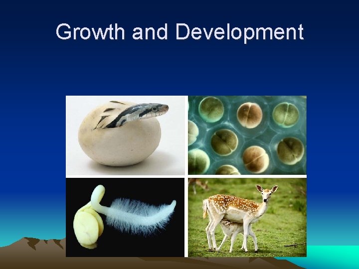 Growth and Development 