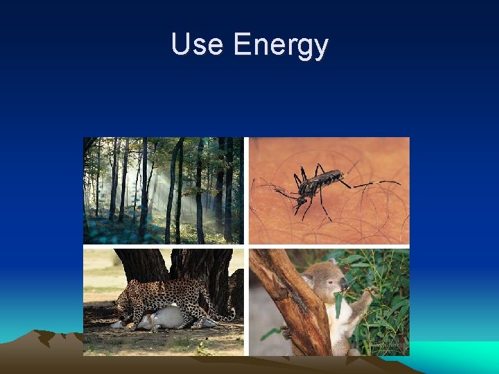 Use Energy 