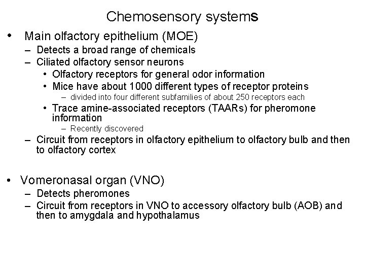 Chemosensory systems • Main olfactory epithelium (MOE) – Detects a broad range of chemicals