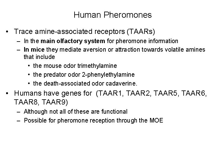 Human Pheromones • Trace amine-associated receptors (TAARs) – In the main olfactory system for