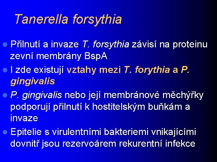 Tanerella forsythia l Přilnutí a invaze T. forsythia závisí na proteinu zevní membrány Bsp.